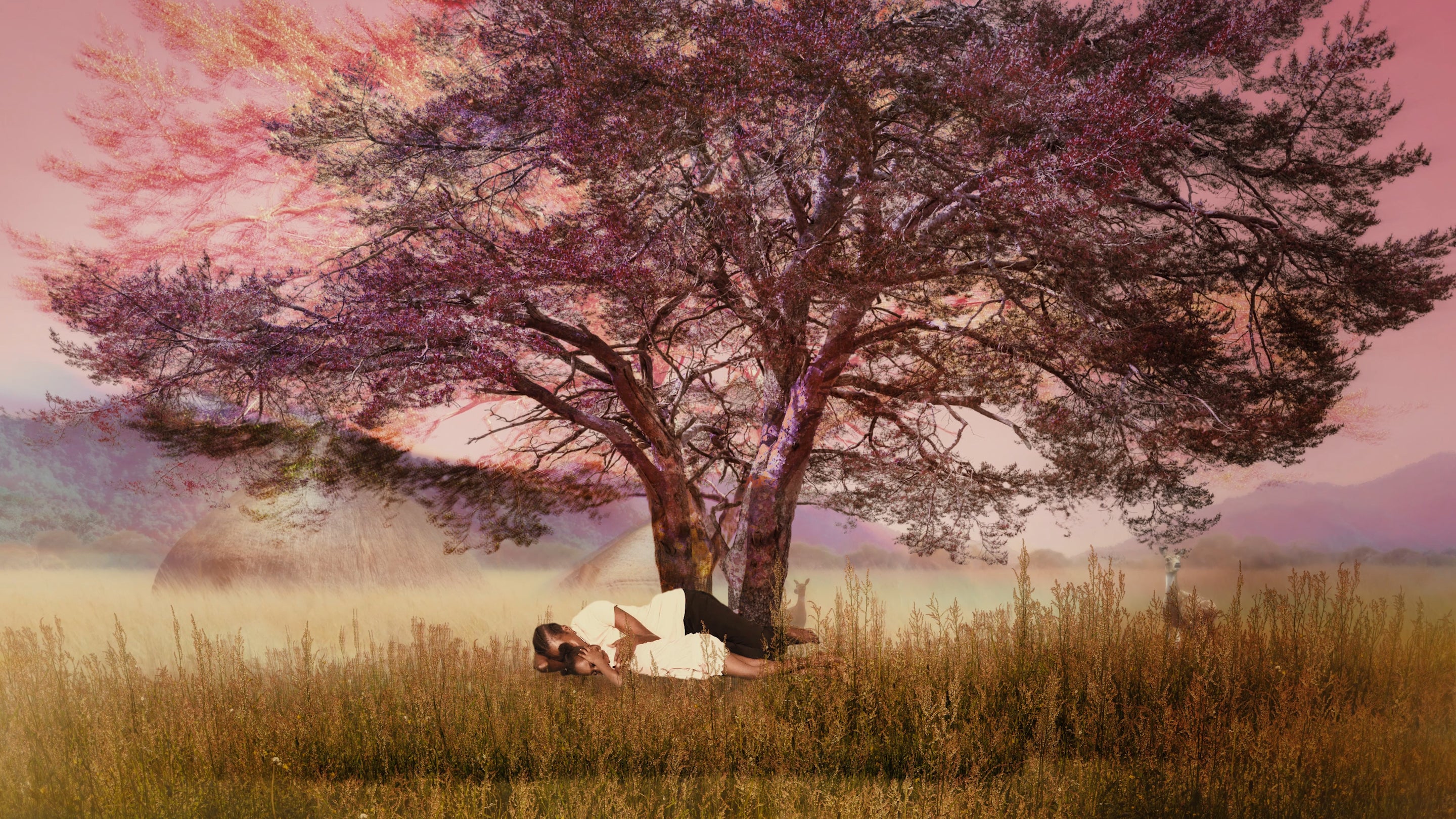 Images were reconstructed after filmmakers and participants were displaced