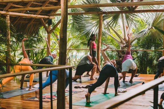 <p>The yoga Shala at Nantipa </p>