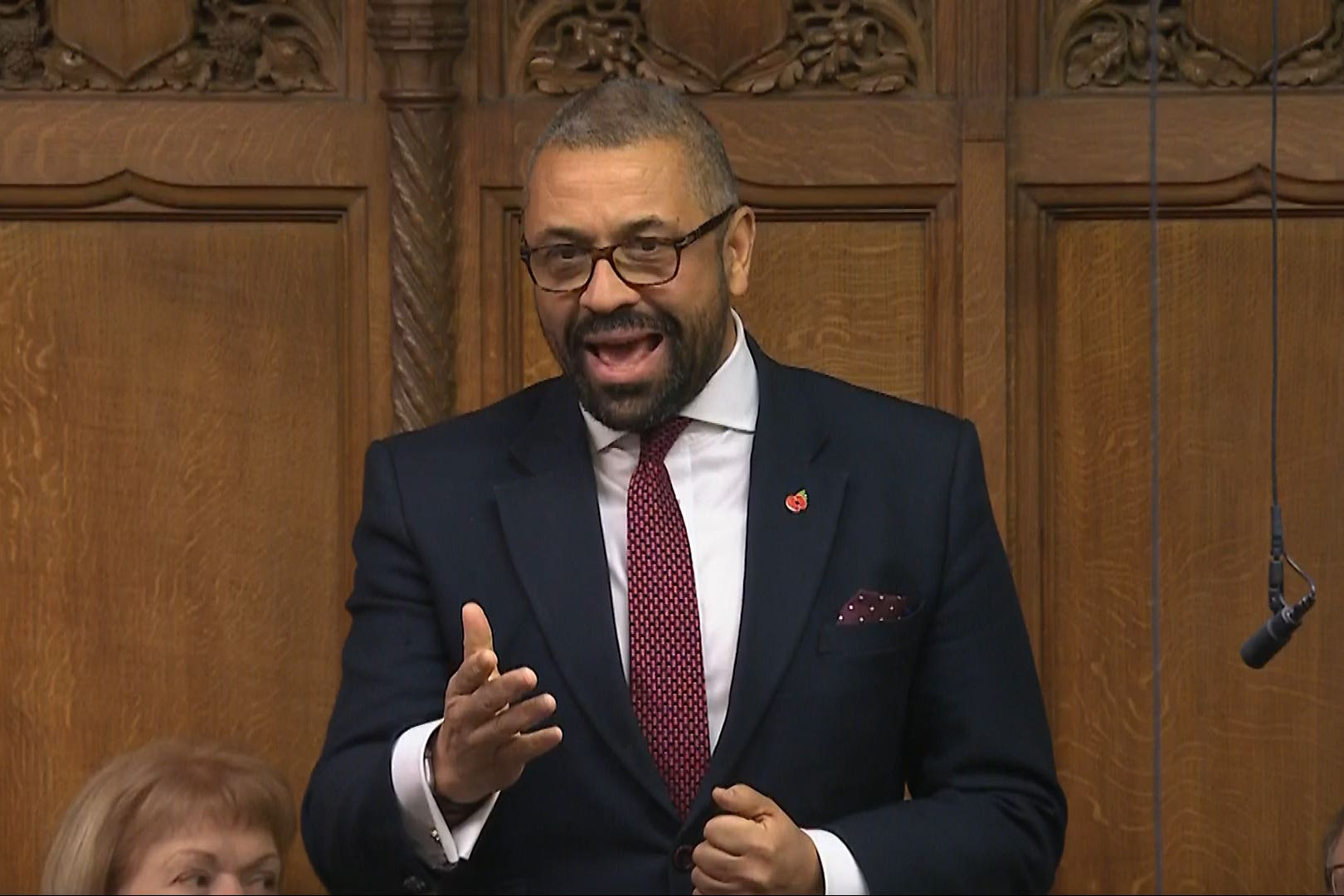 Former home secretary James Cleverly has criticised the Chagos deal