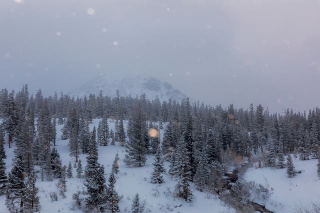 <p>California Storms</p>