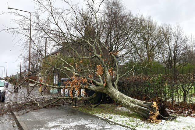 The storm caused widespread damage and power cuts (Marilyn Higham/PA)