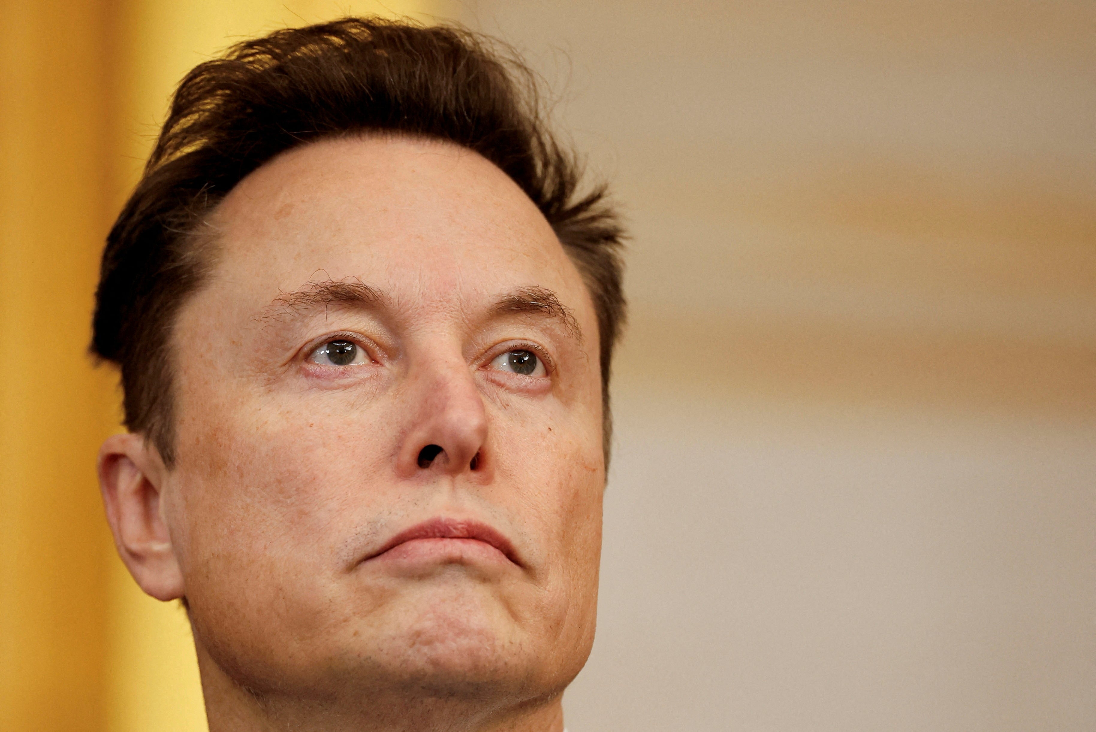 Elon Musk has supported far right parties