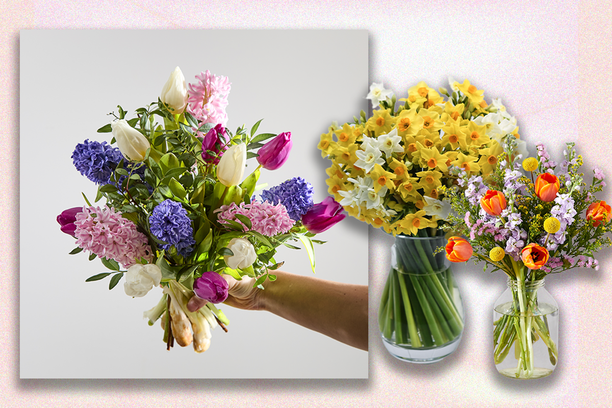 Where to shop letterbox flowers in the UK
