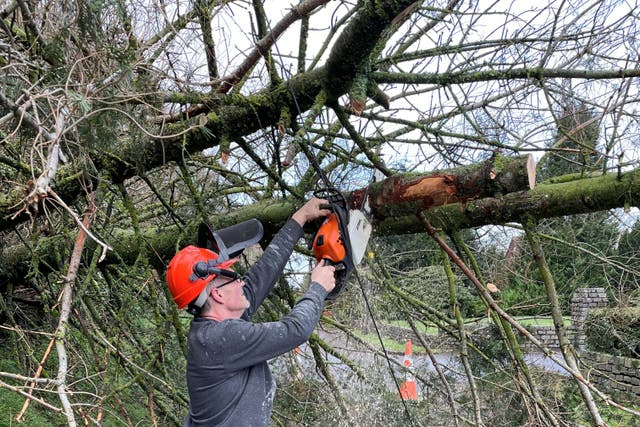 A local resident removes a tree which has been blocking the Eglantine Road near Lisburn (Jonathan McCambridge/PA)