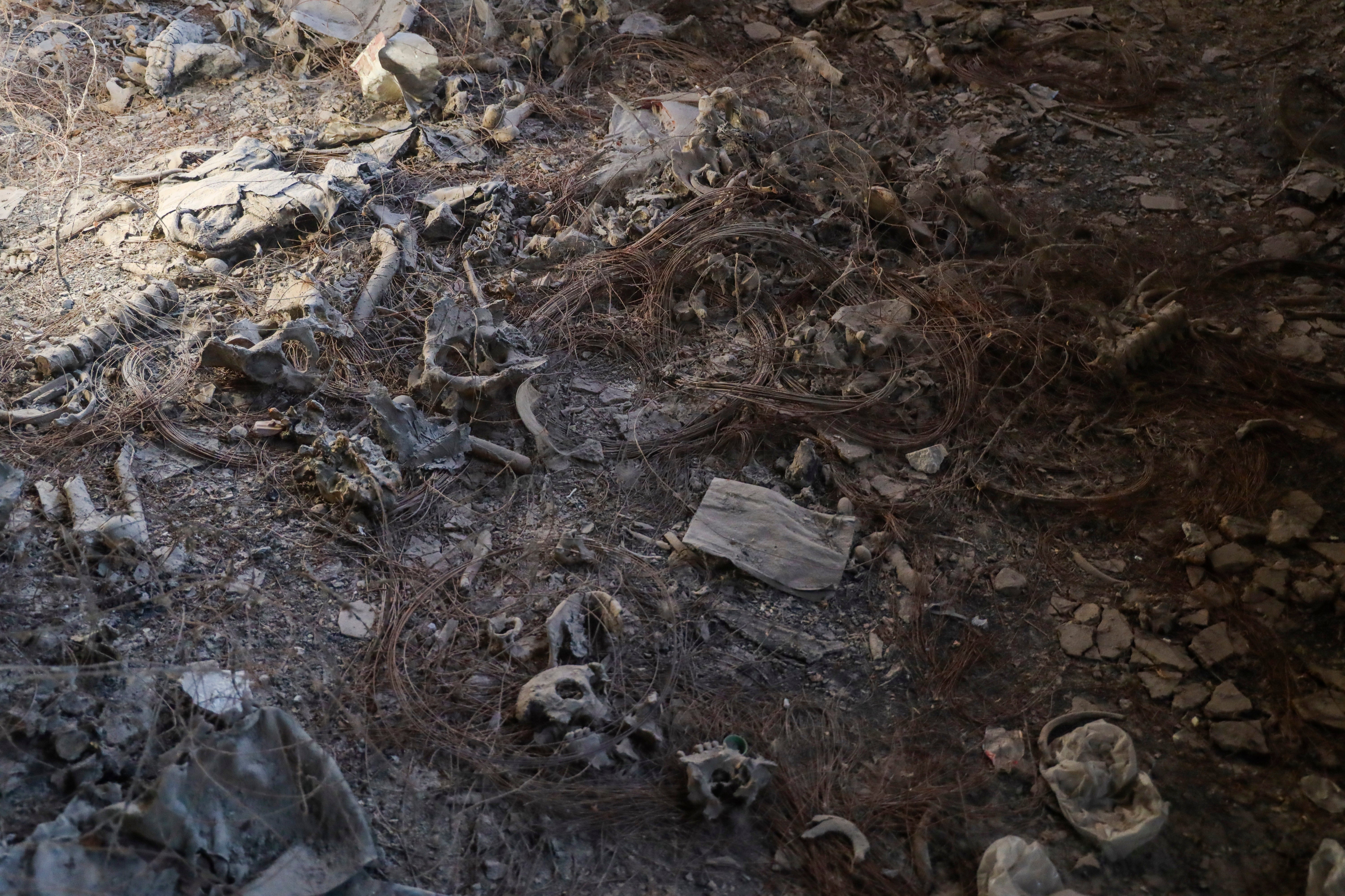 Syria Mass Graves