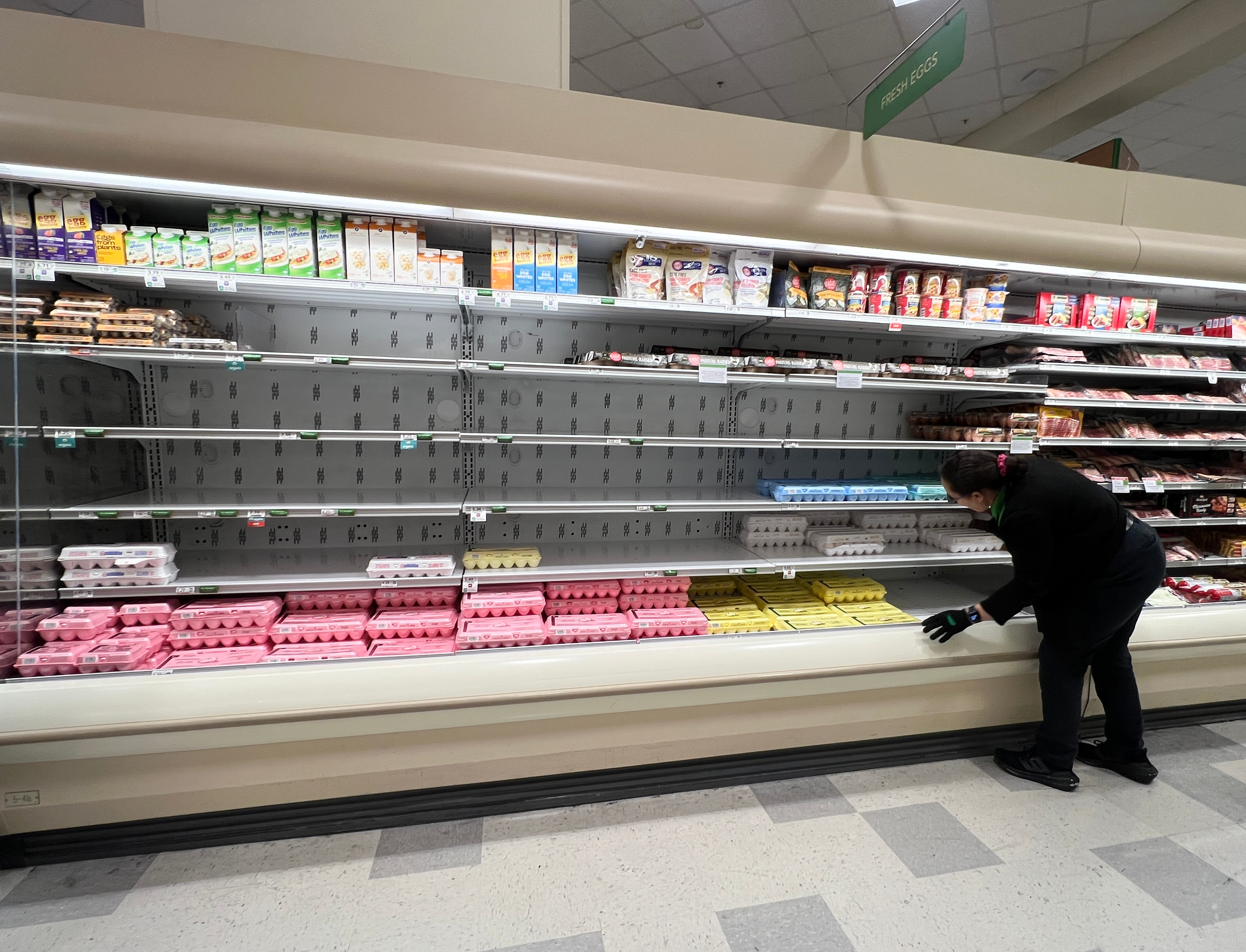 A grocery store worker rearranges items in the depleted egg section of a grocery store last week in Miami, Florida. Millions of egg-laying hens have been killed due to the surge of bird flu across the U.S.