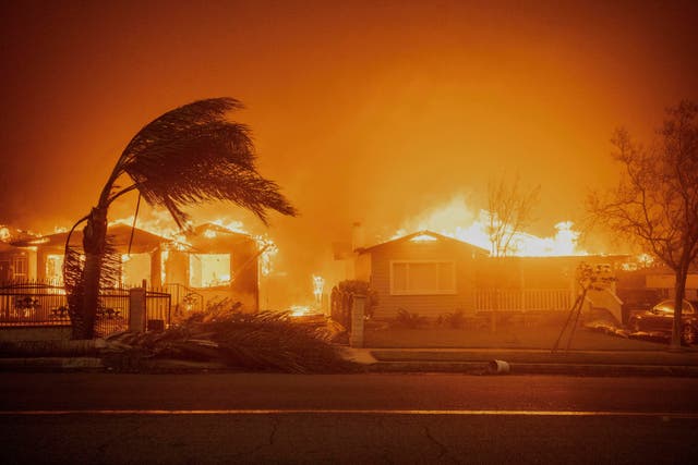 <p>Wildfires destroy houses in the Pacific Palisades neighborhood of Los Angeles in January</p>