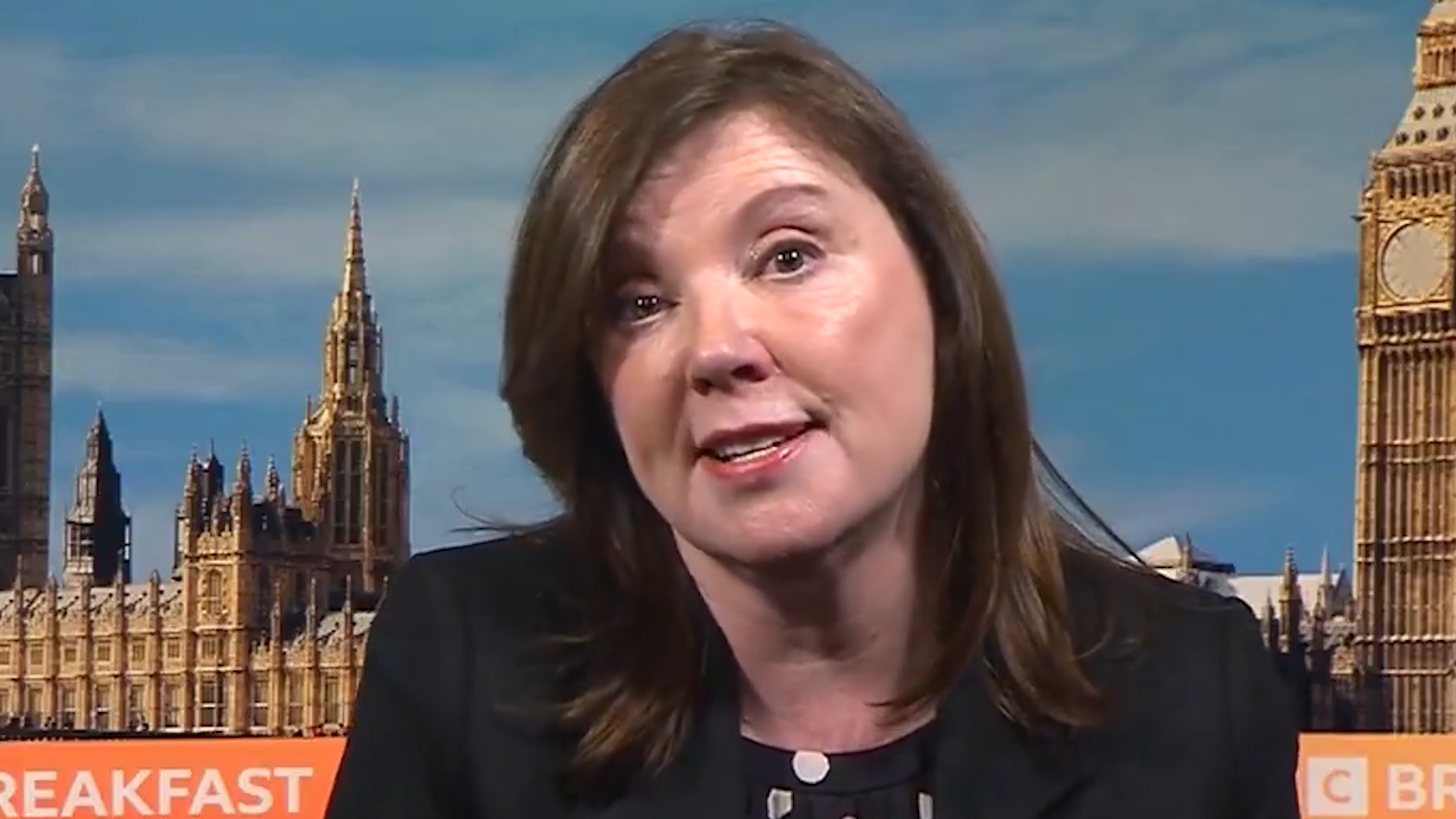 <p>Children joined last summer’s riots driven by the "adrenaline of the moment," rather than far-right ideology or social media misinformation, the Children's Commissioner for England told BBC Breakfast on Tuesday (28 January).</p>