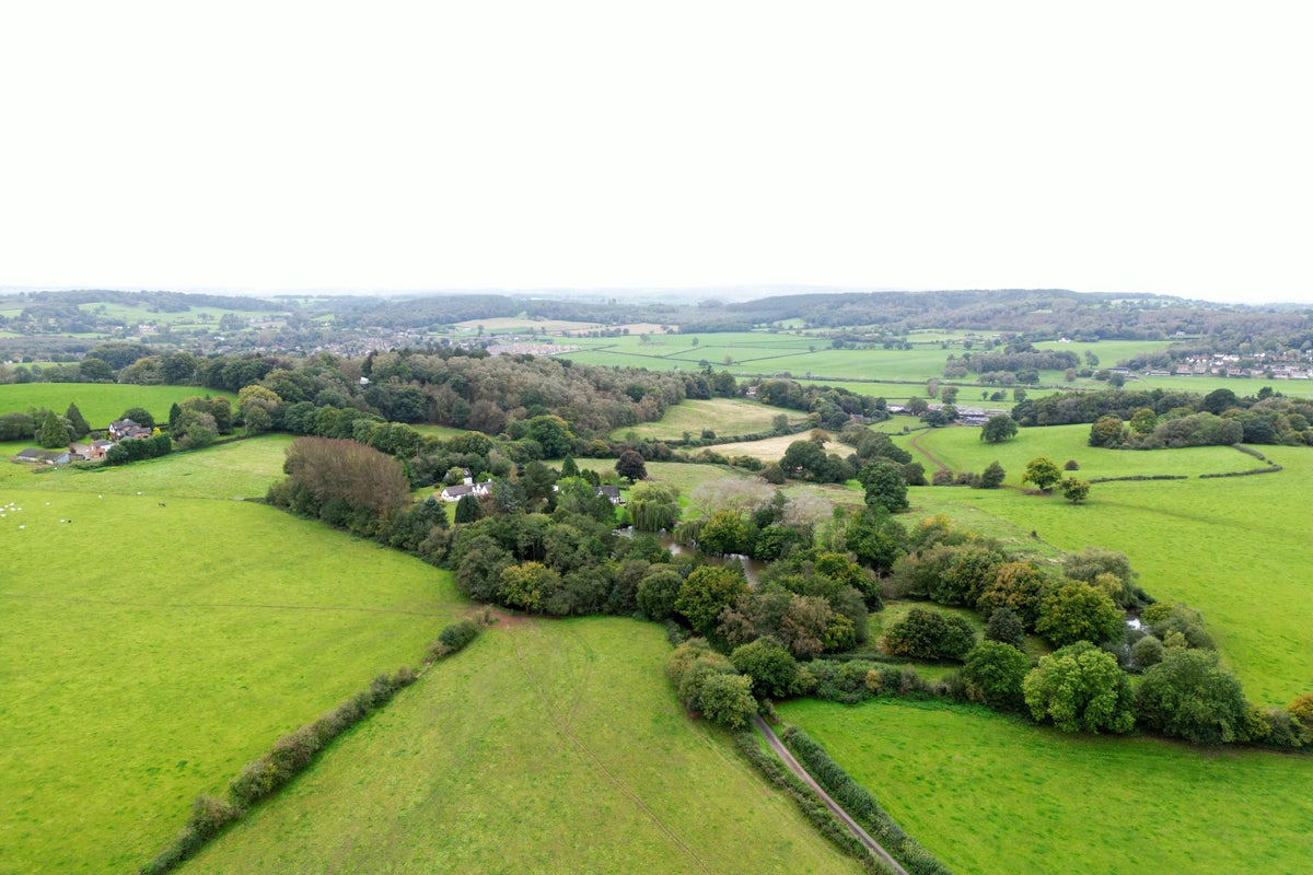 Call for homes to be sold back after HS2 line scrapped