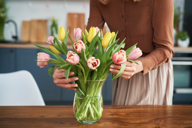 This Bunches discount code saves you 15% on flowers and houseplants