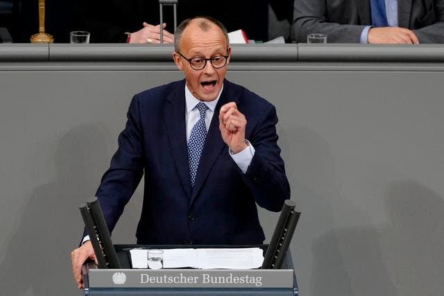 <p> CDU leader Friedrich Merz</p>