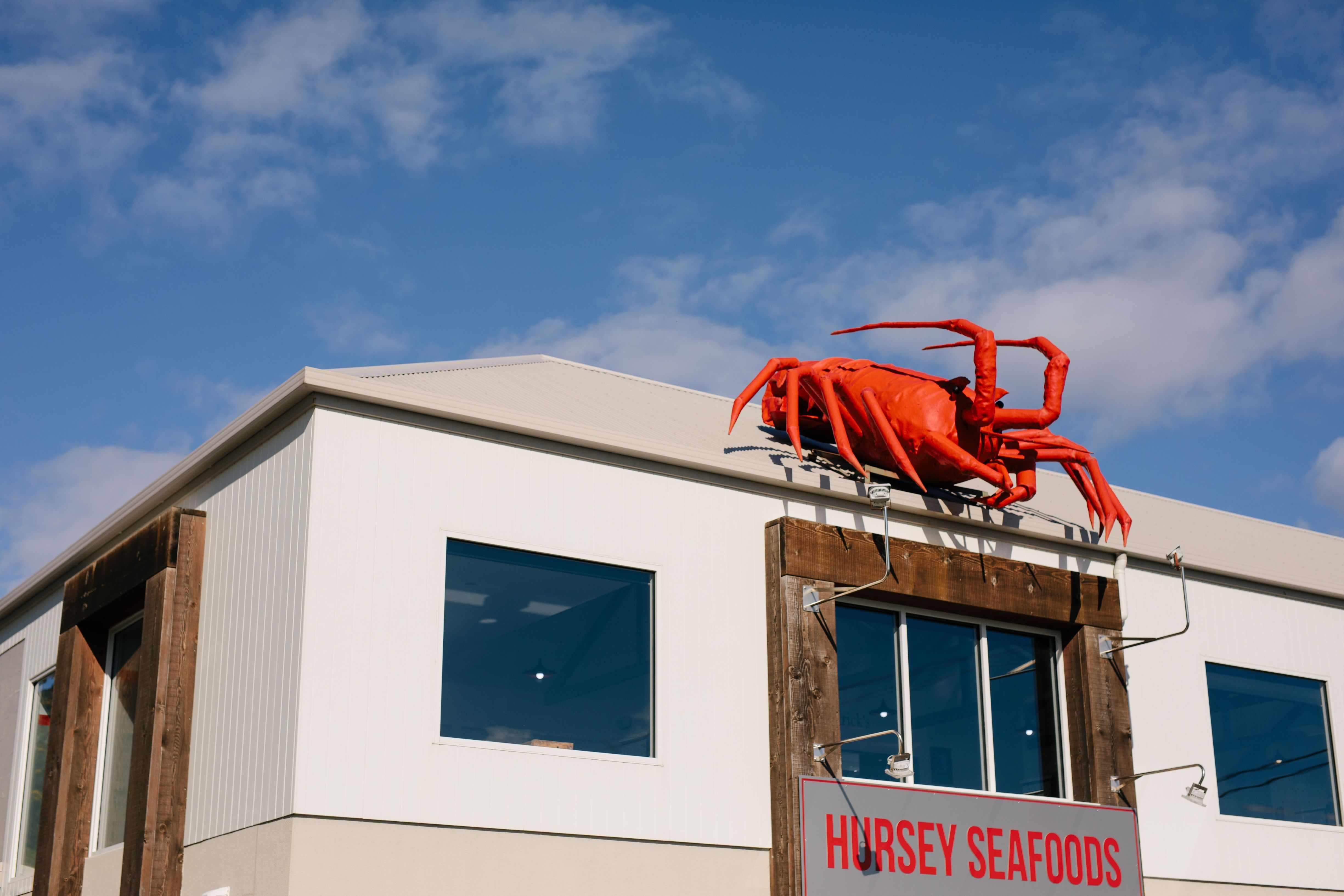 Hursey Seafoods foi nomeado o melhor restaurante da Austrália no 2024 National Seafood Industry Awards - e seus frutos do mar de origem local não decepcionam