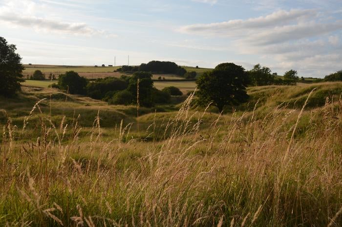 Grass covered mounds mark the site of the Roman-era lead mine at Charterhouse on Mendip in the UK