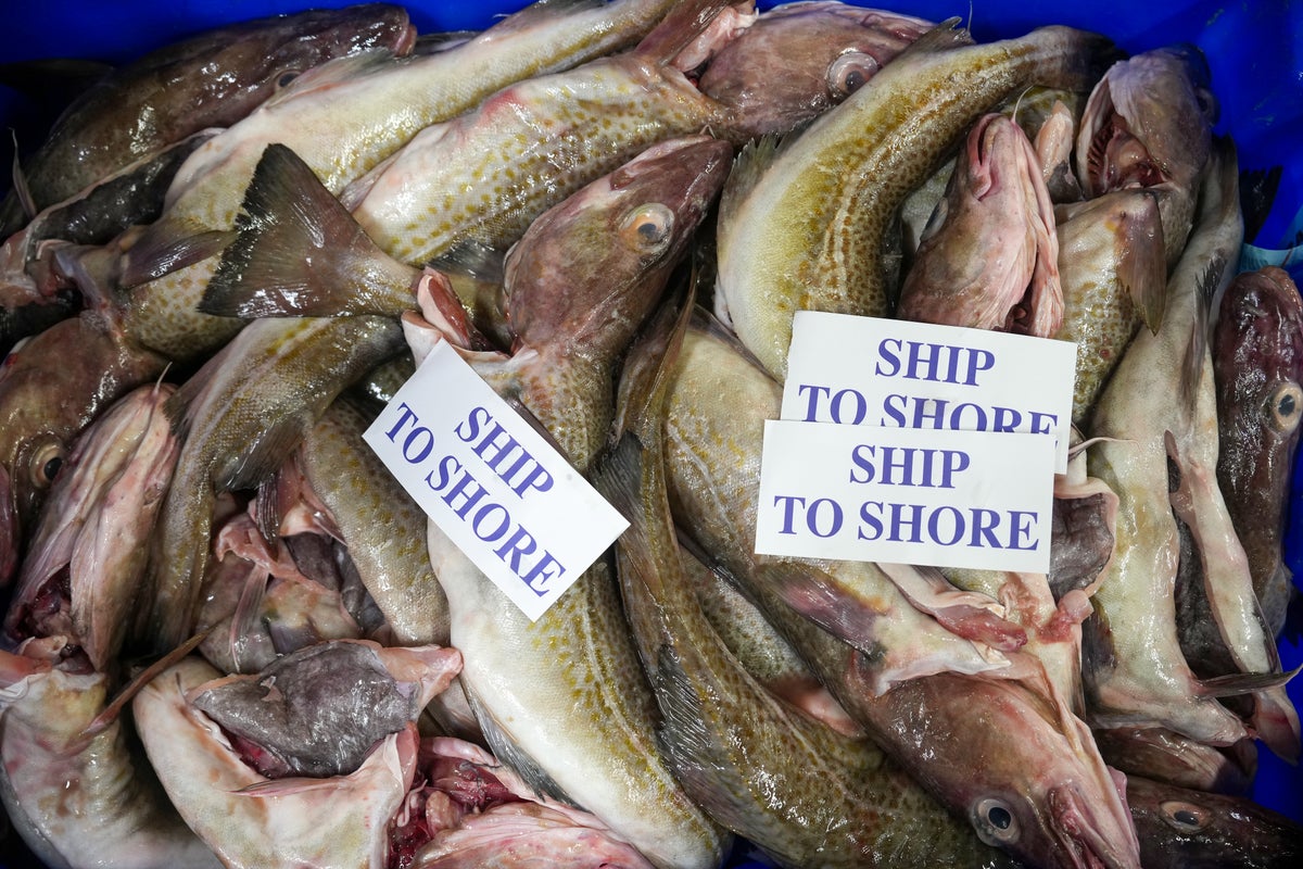 Government issued warned over flagship post-Brexit fisheries law