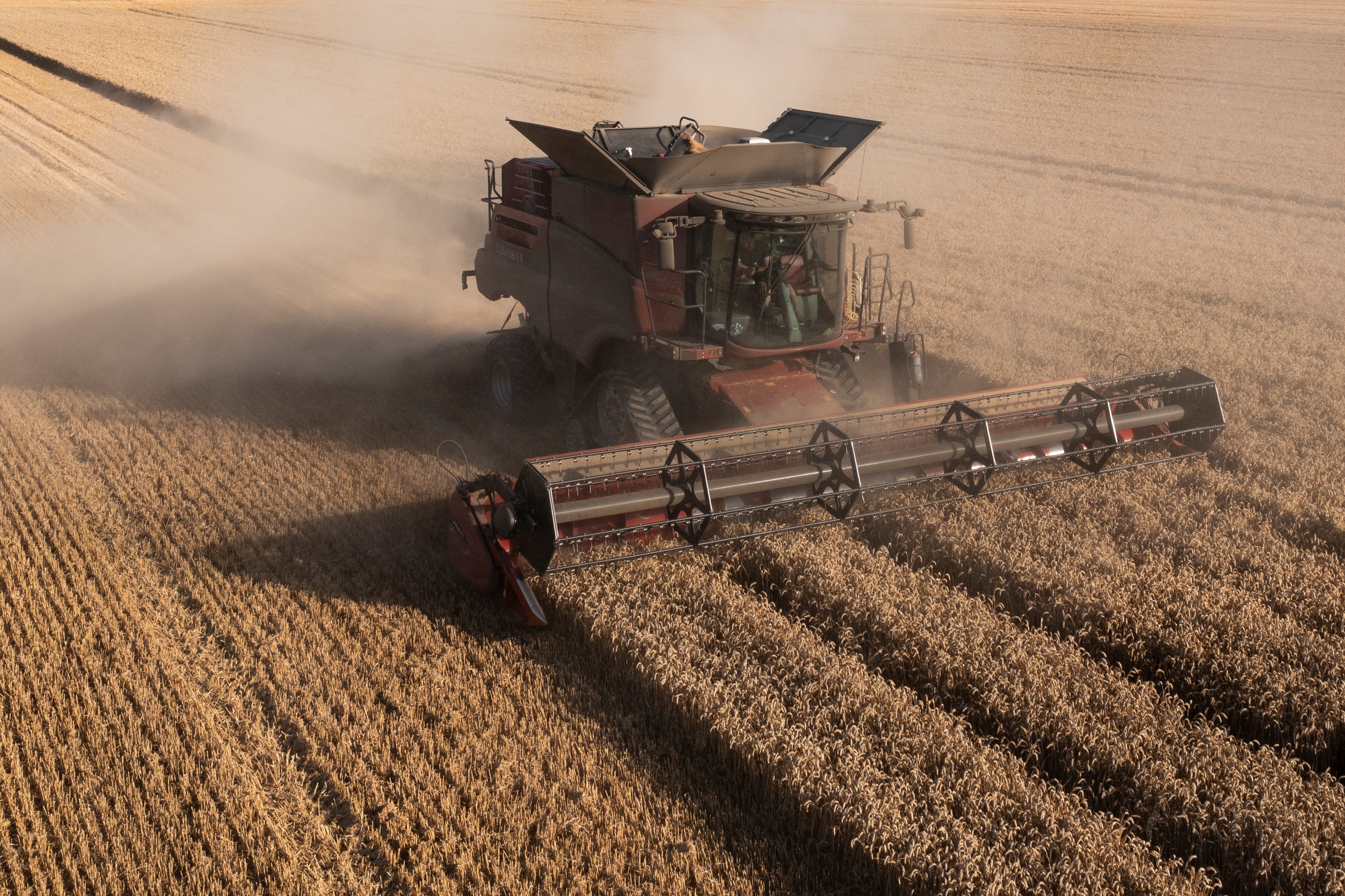 Farmers Could Be Forced To Sell Land At Lower Value Under New Labour Farmers Could Be Forced To Sell Land At Lower Value Under New Labour