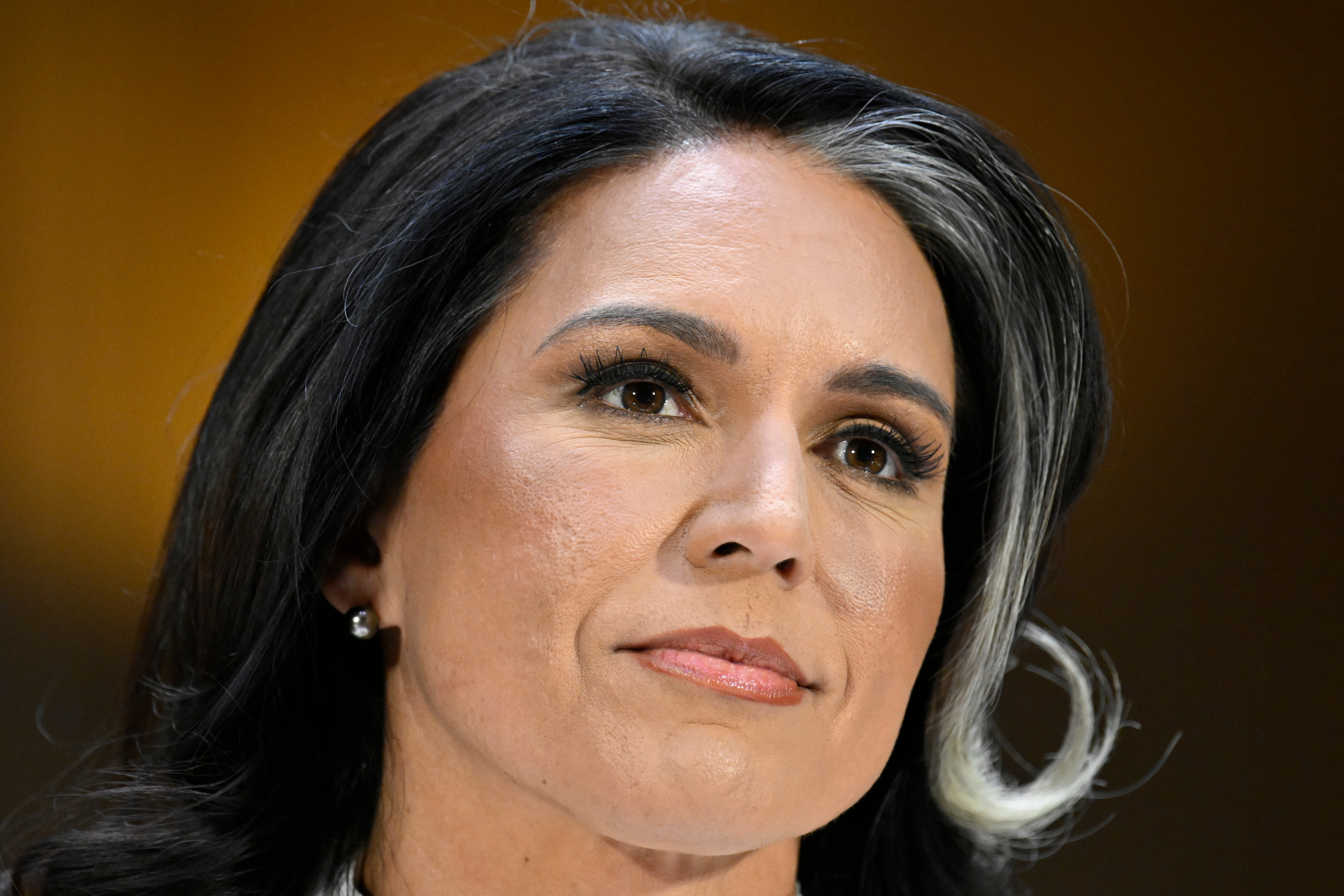 Trump Cabinet Gabbard