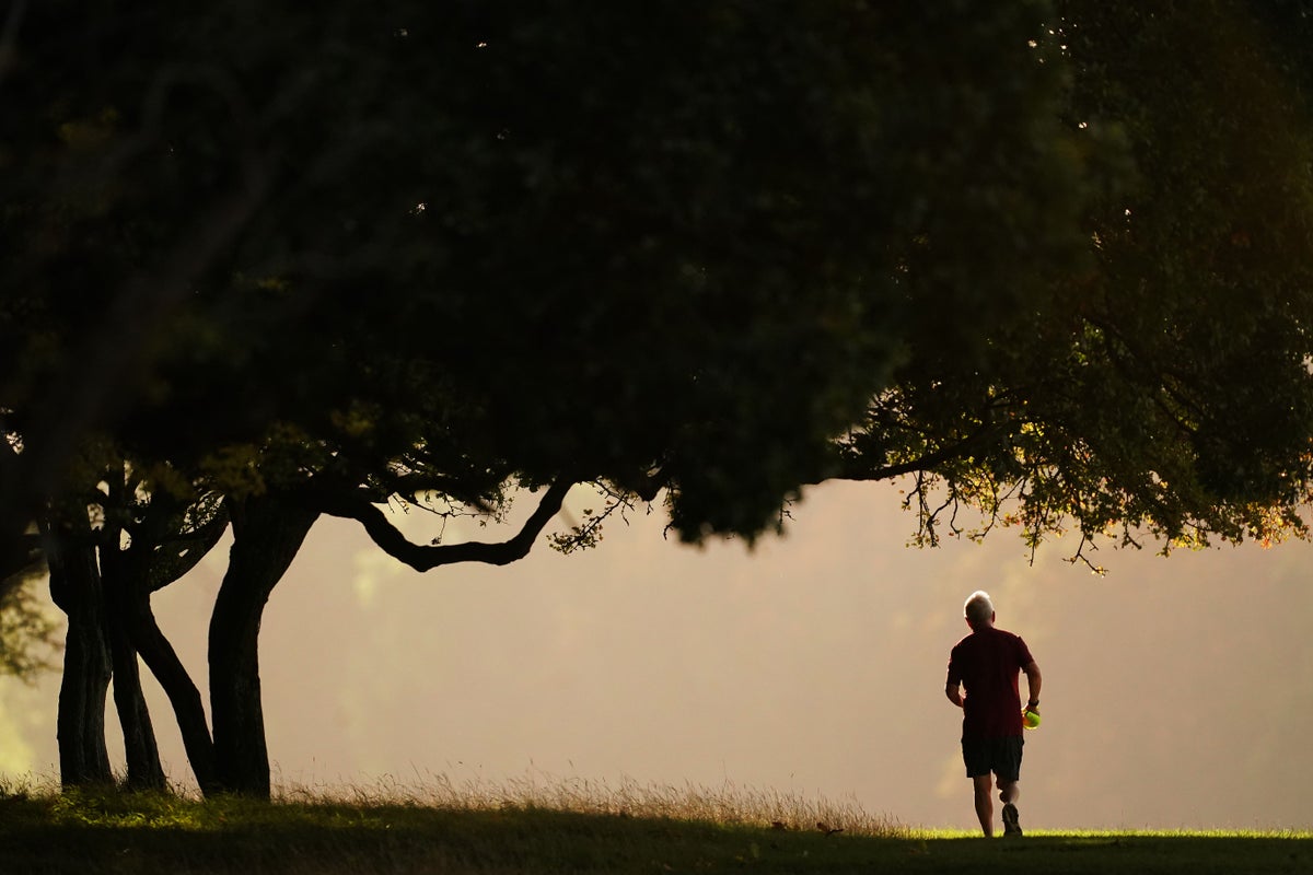 Study Links Lifelong Exercise to Reduced Dementia Risk