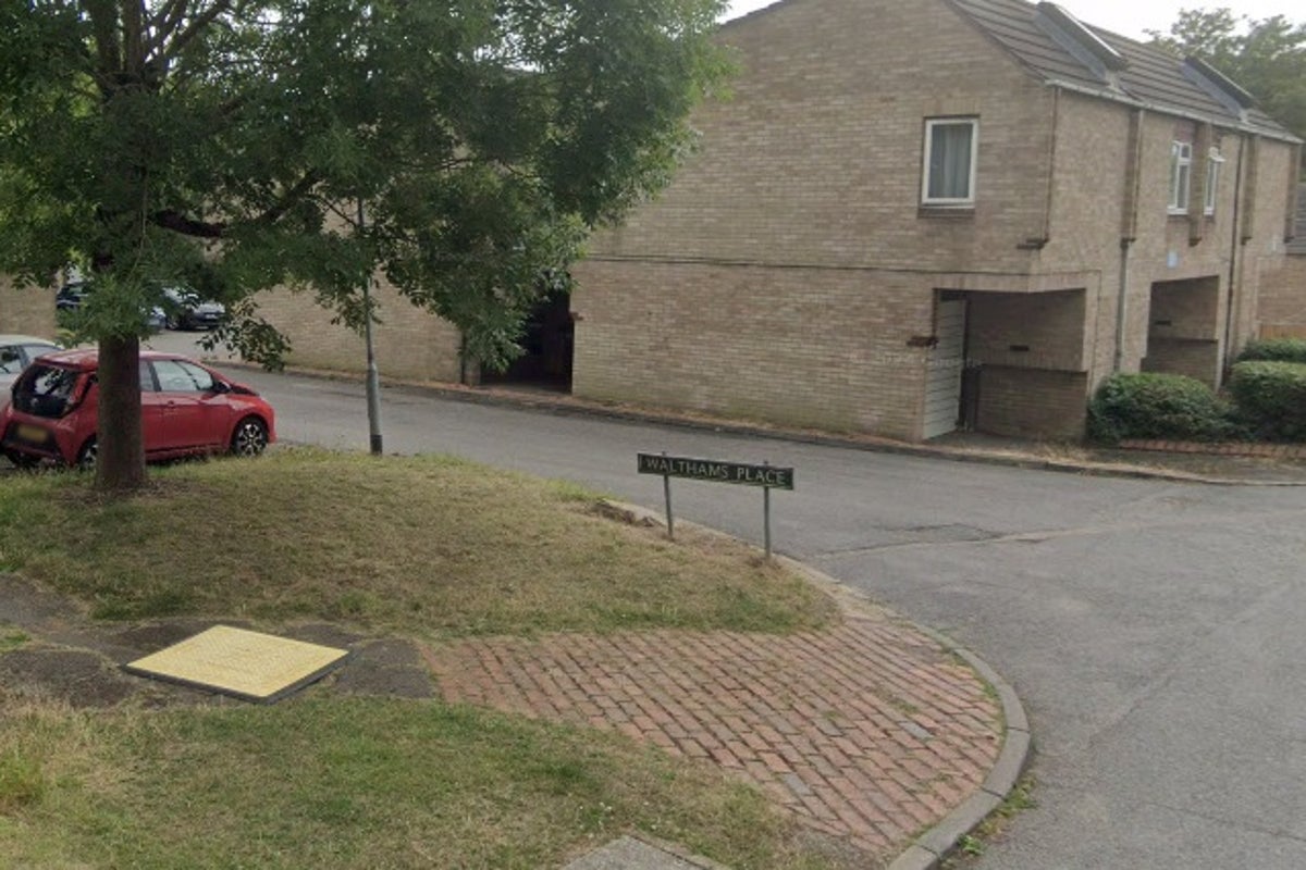 Two children killed in hit-and-run in Essex cul-de-sac as police arrest man and woman Two children killed in hit-and-run in Essex cul-de-sac as police arrest man and woman