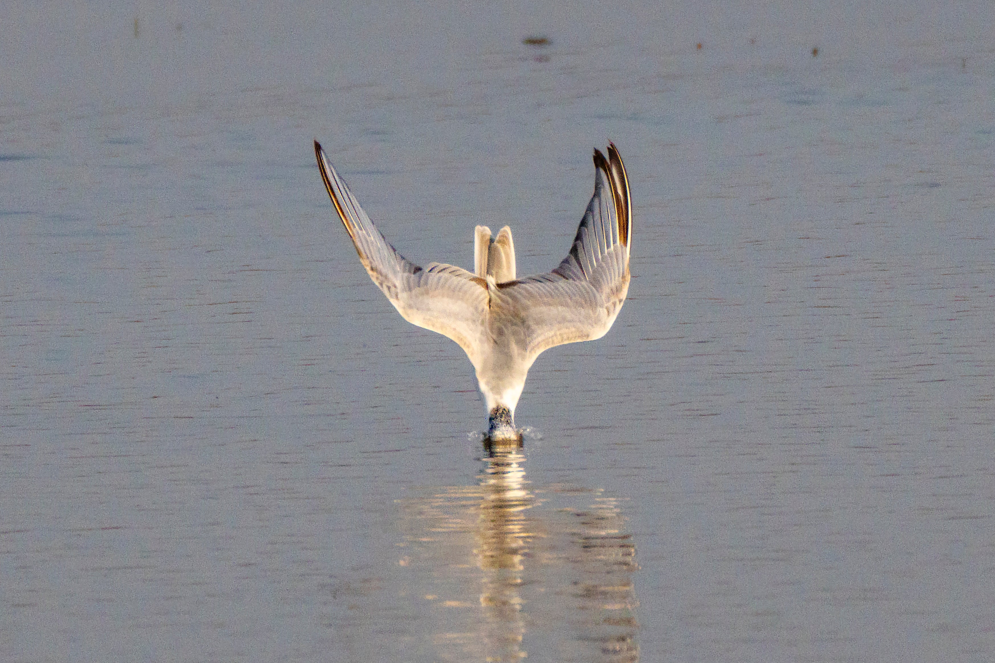 India World Wetlands Day Photo Gallery