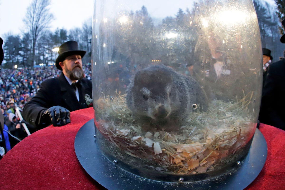 Groundhog Day: Punxsutawney Phil to emerge with his annual prediction about end of winter