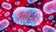 What we know about new Mpox strain after first case caught in UK