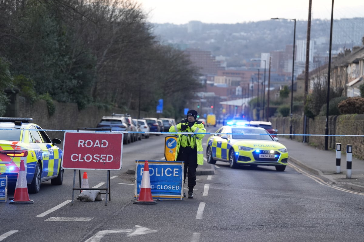 Boy, 15, dies and teenager arrested after stabbing at Sheffield school