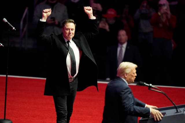 <p>Elon Musk reacts as President-elect Donald Trump speaks at a rally ahead of the presidential inauguration last month</p>
