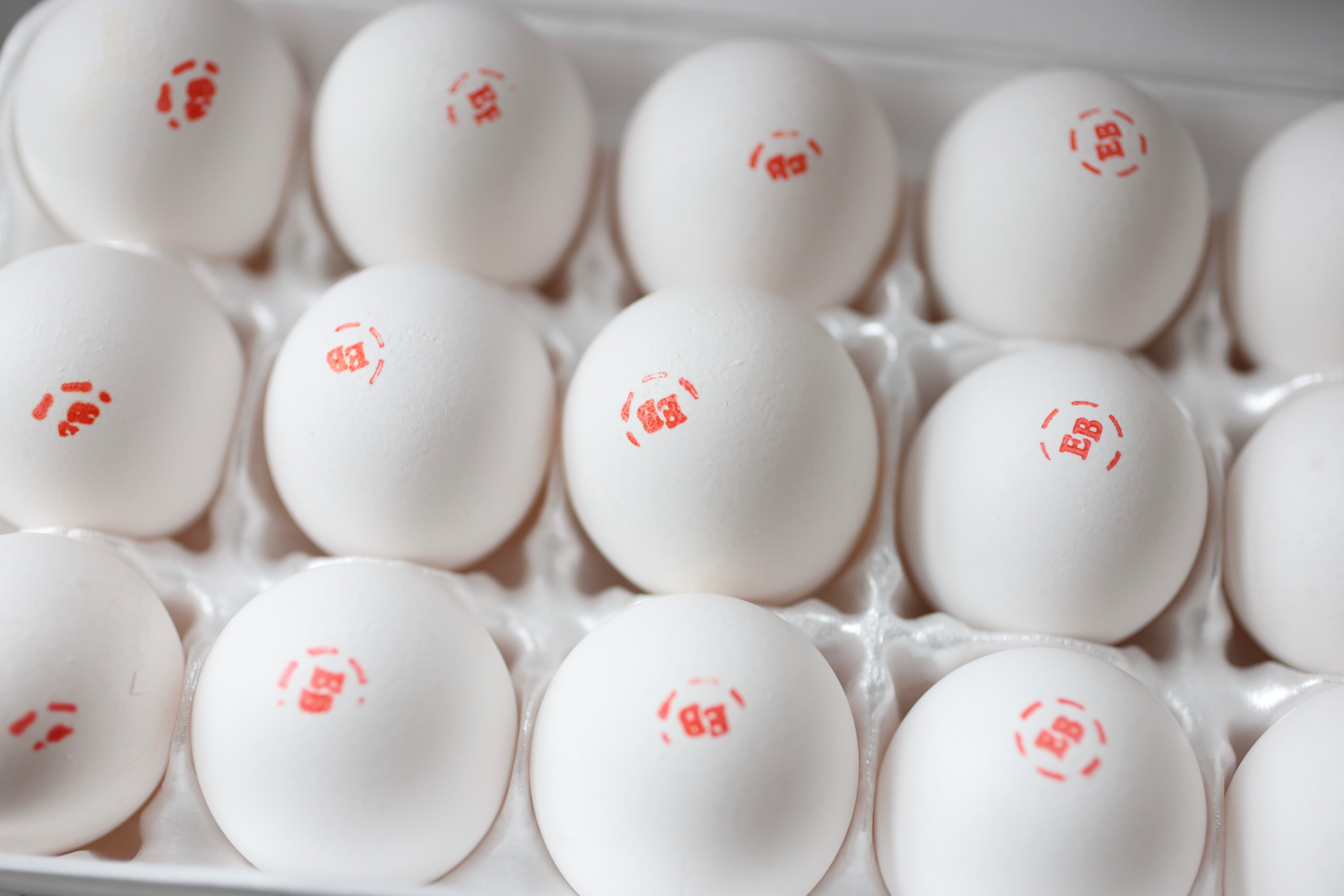 In this photo illustration, eggs sit in a container last month in Miami, Florida. Grocery stores across the nation are running short on eggs amid the spread of H5N1 bird flu