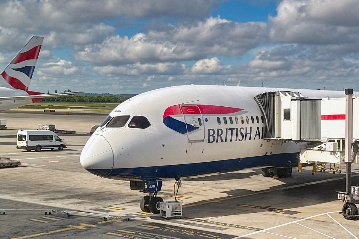 British Airways flight diverted after toxic fumes fill the cabin