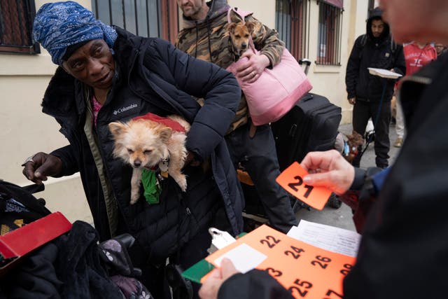 <p>Evelyn Johnson and her dog Baby Girl, 5, receive a number from a volunteer as they wait in line at a free dog vaccine clinic to combat a canine Parvovirus outbreak</p>