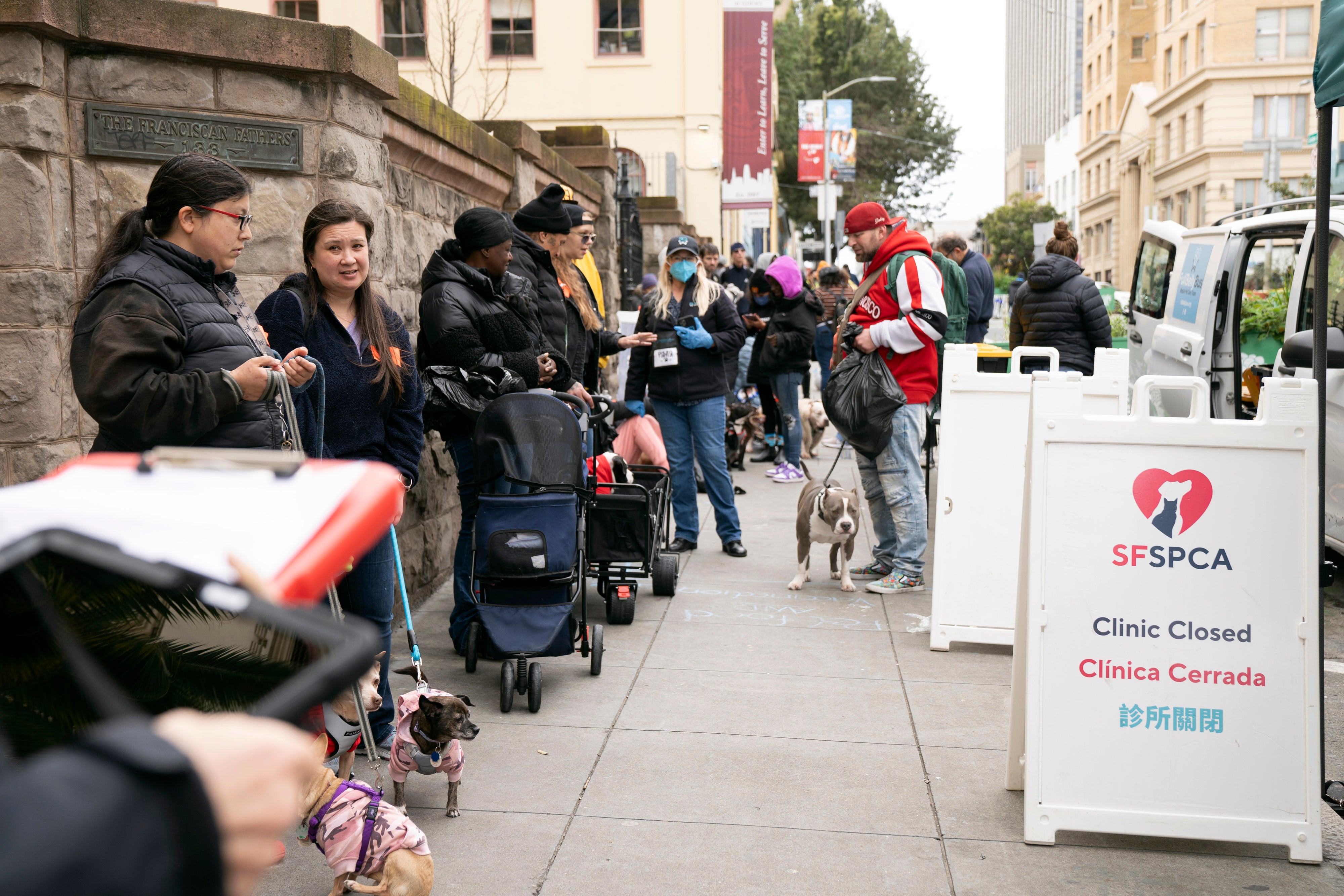 Dogs and their owners queue in San Francisco