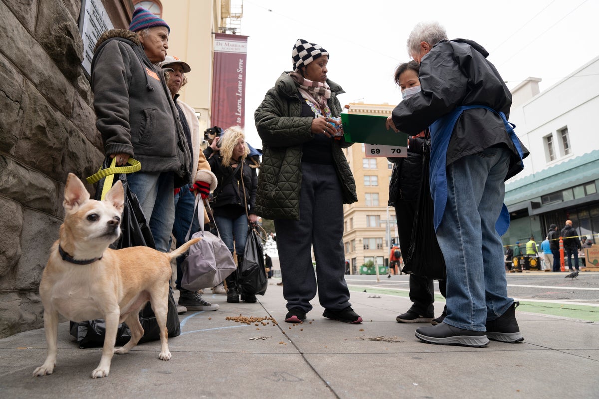 Dogs sit and stay to get vaccinated against parvovirus at San Francisco free clinic