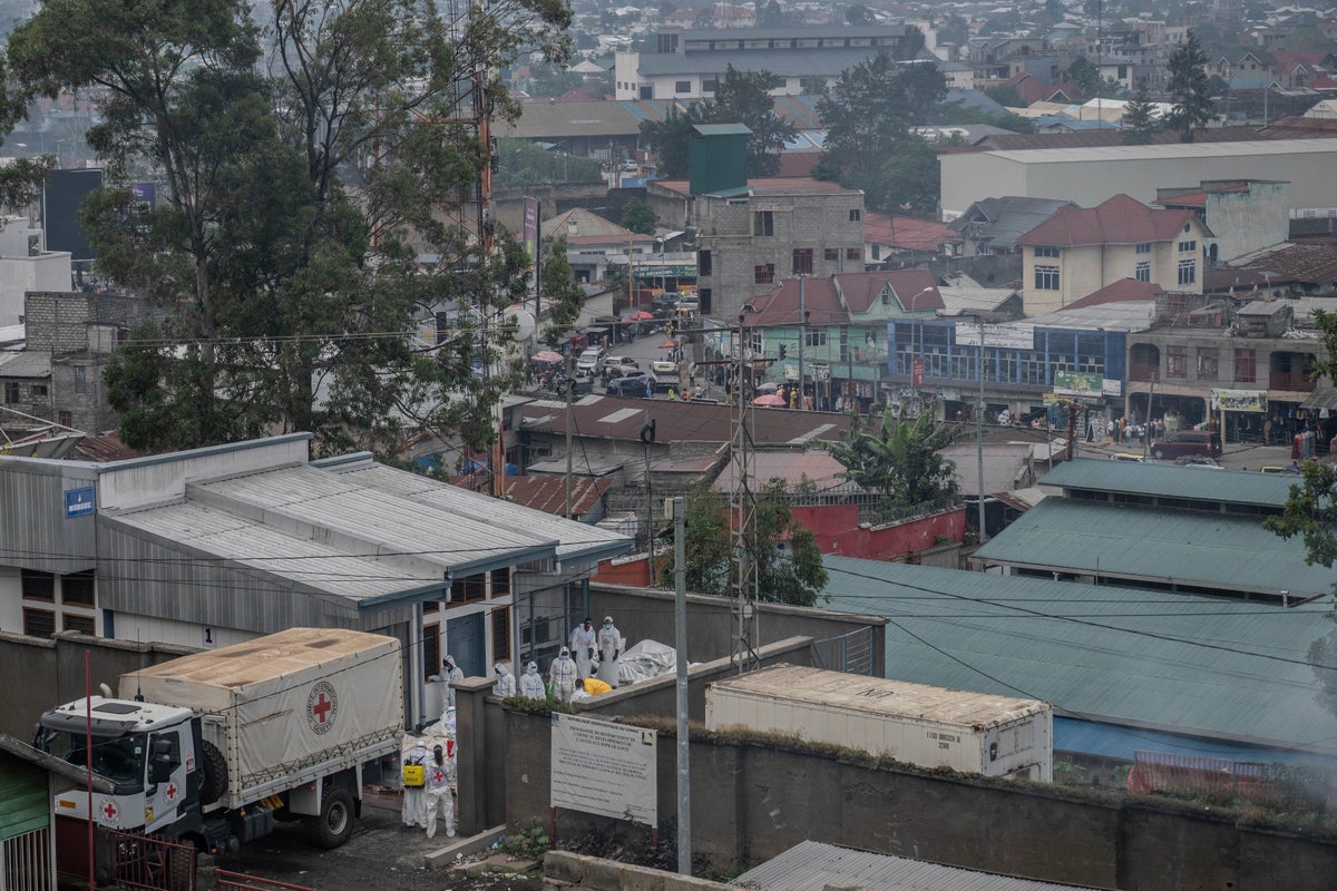 Congo calls rebels' ceasefire declaration 'false communication' as reports of fighting continue