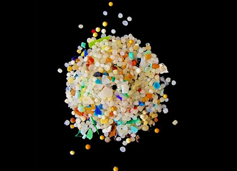 Scientists warn of 'worrying' increase in microplastic levels in human brain