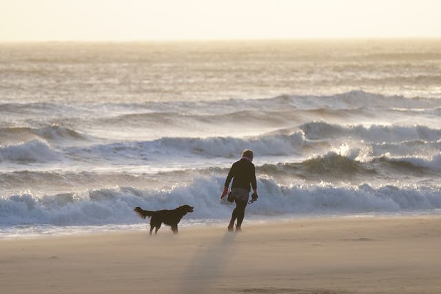 <p> A wind swept beach at Tynemouth: Northern parts of the country enjoyed the clearest skies </p>