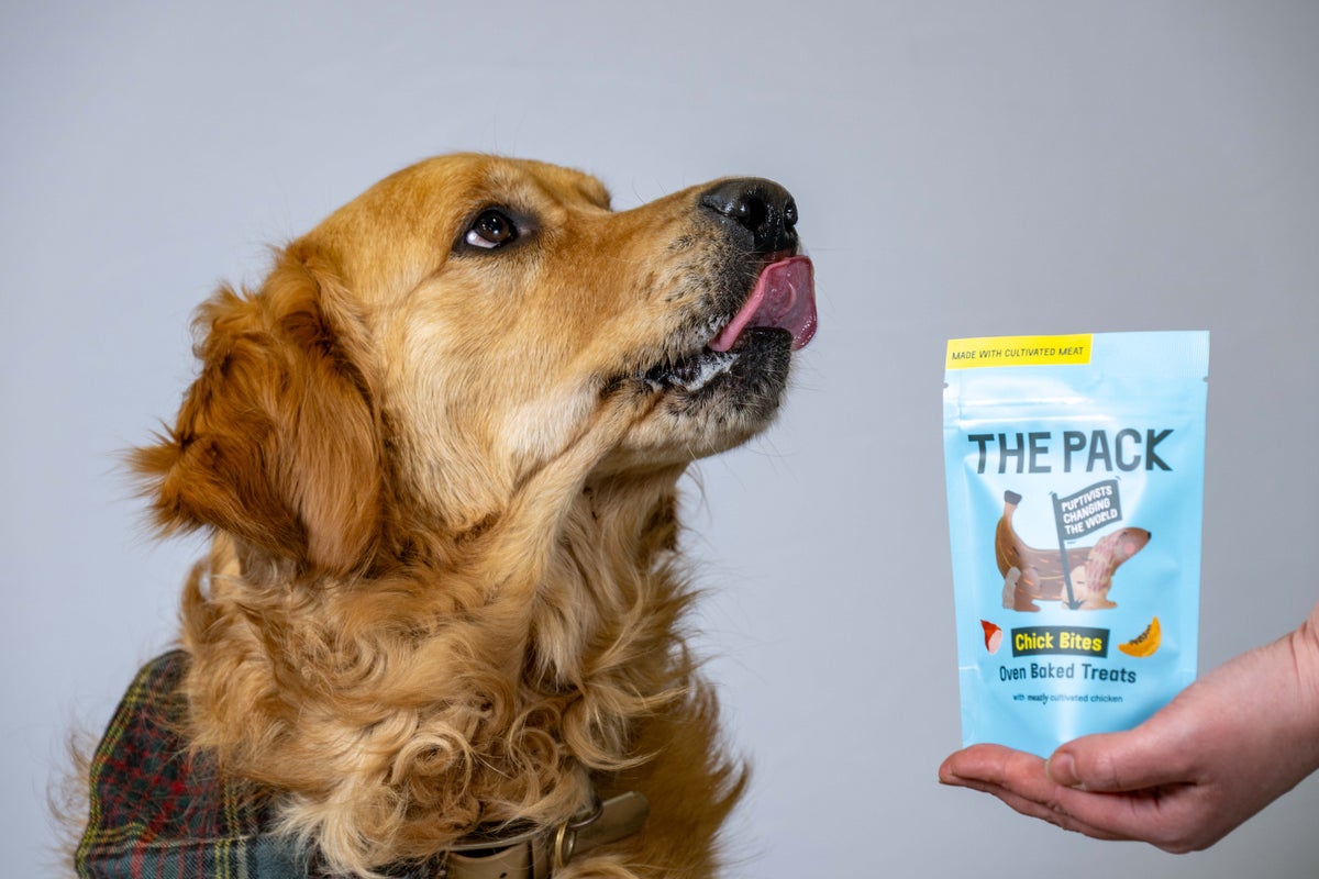 Lab-grown dog meat on sale at major UK retailer in ‘world first’ Lab-grown dog meat on sale at major UK retailer in ‘world first’