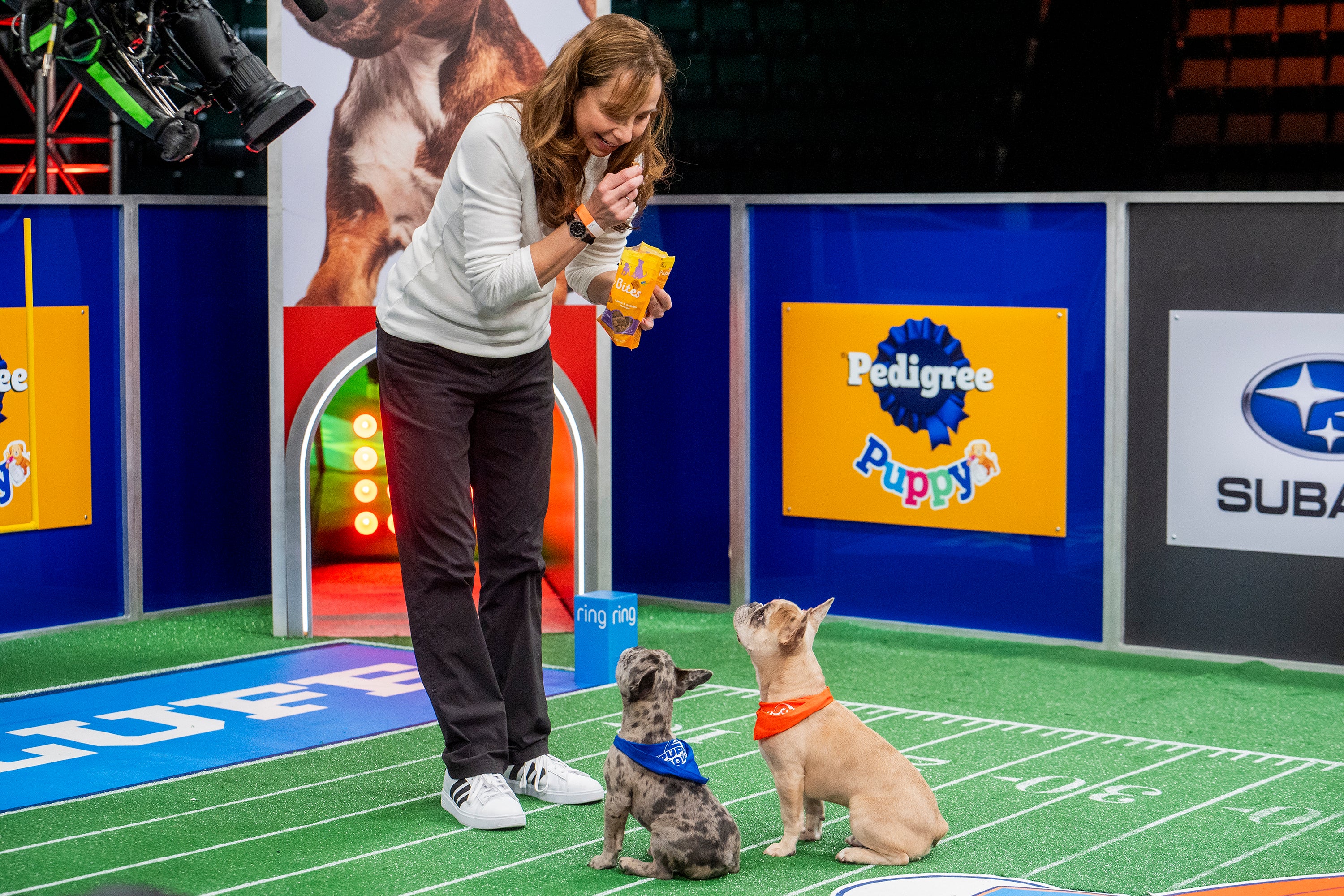 TV-Puppy Bowl