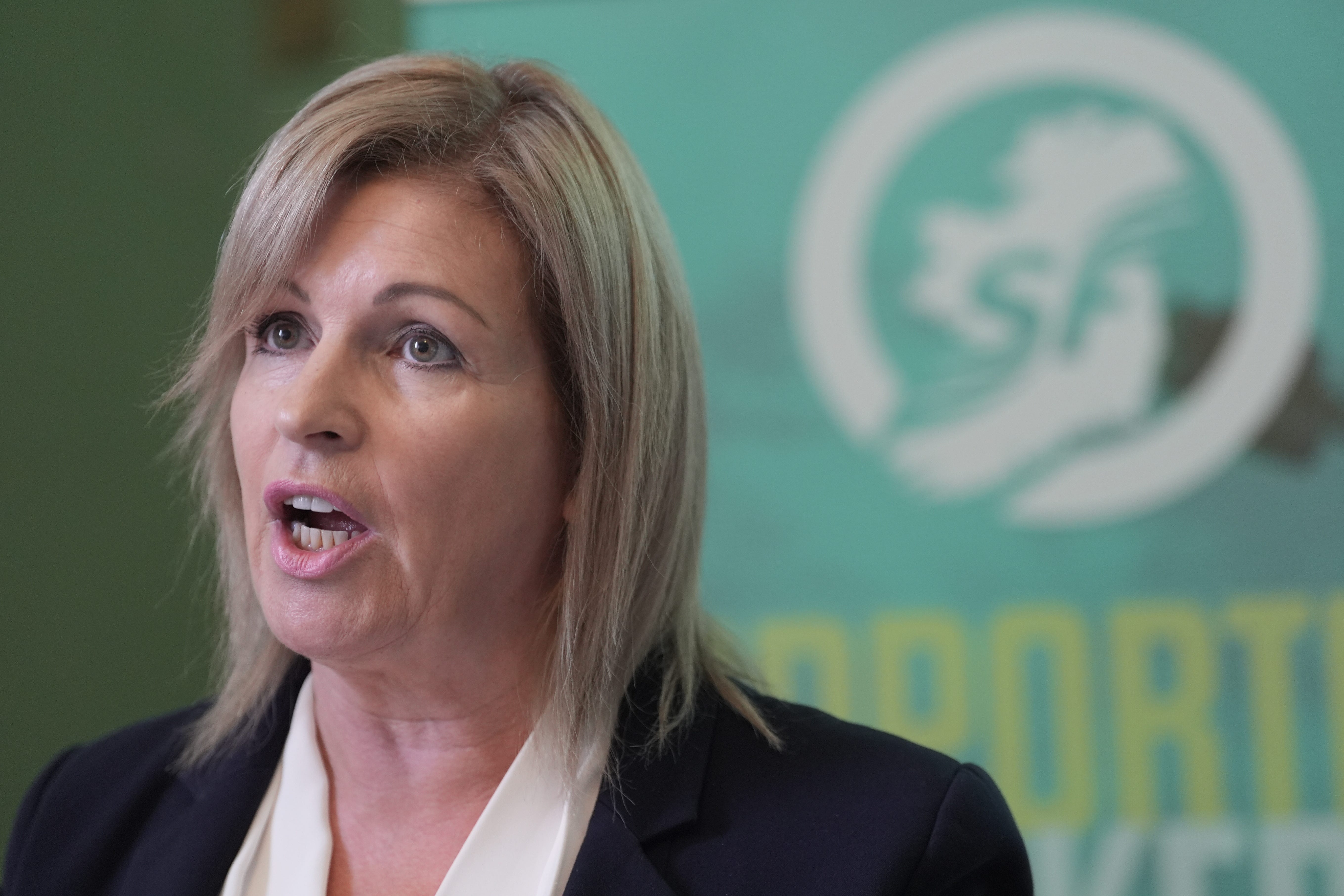 Sinn Fein TD Rose Conway-Walsh (Brian Lawless/PA)