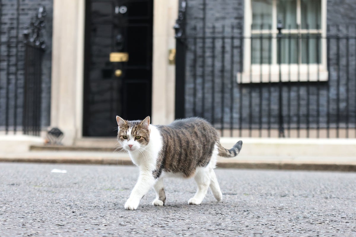 Macron and Starmer share Larry the cat joke during Downing Street family photo