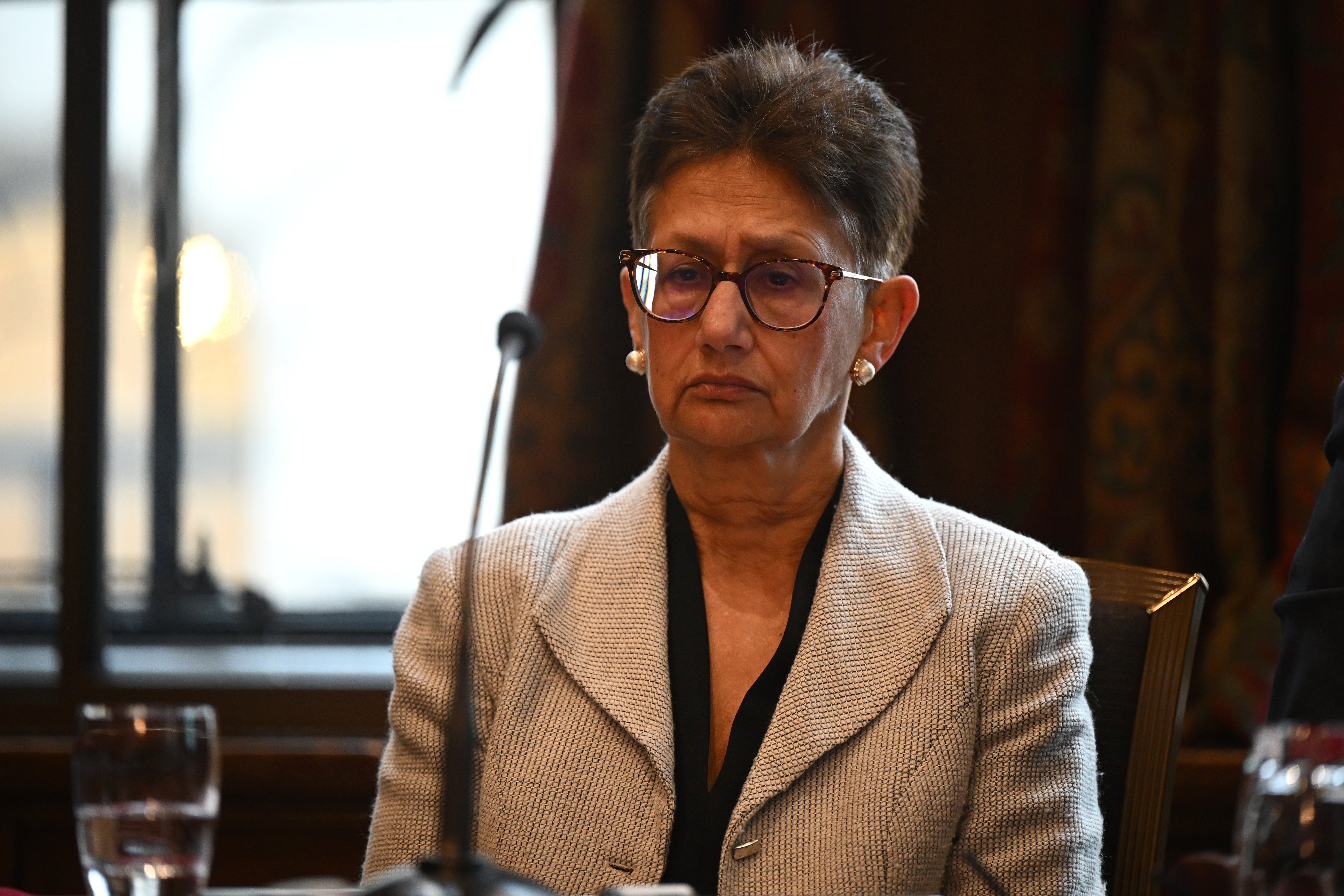 Professor Neena Modi, one of the panel members, pictured at the press conference