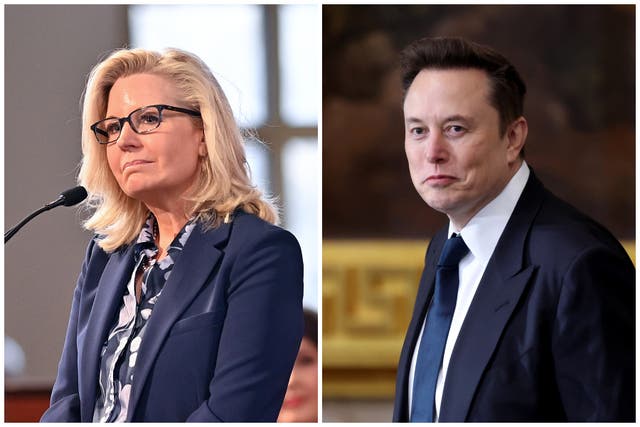 <p>Liz Cheney took a swipe at Elon Musk on social media by undermining his allegiance to the United States</p>