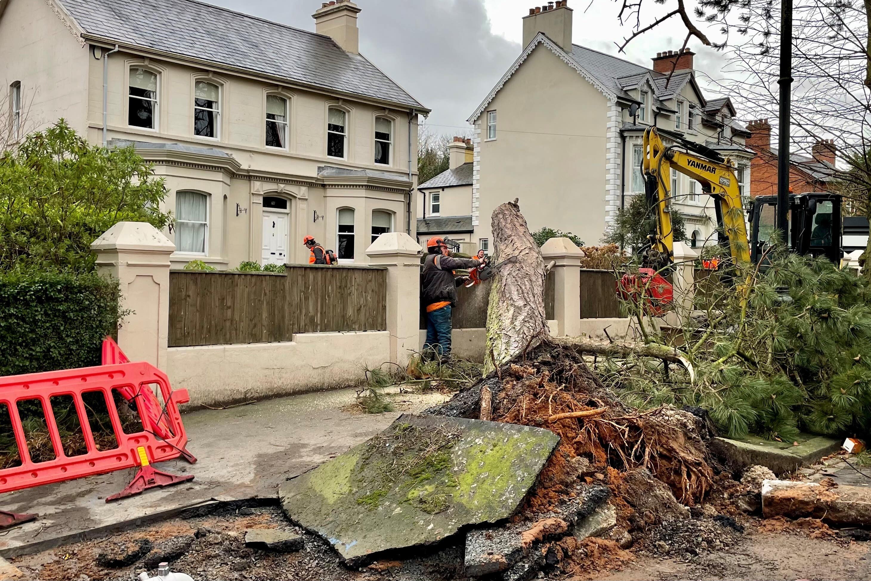 Tree removal work on Cyprus Avenue in east Belfast after damage caused by Storm Eowyn (David Young/PA)