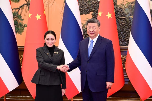 <p>Thai prime minister Paetongtarn Shinawatra (L) and Chinese president Xi Jinping (R) shake hands at the Great Hall of the People in Beijing</p>