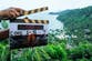 Thailand sees slump in tourism despite ‘The White Lotus effect’