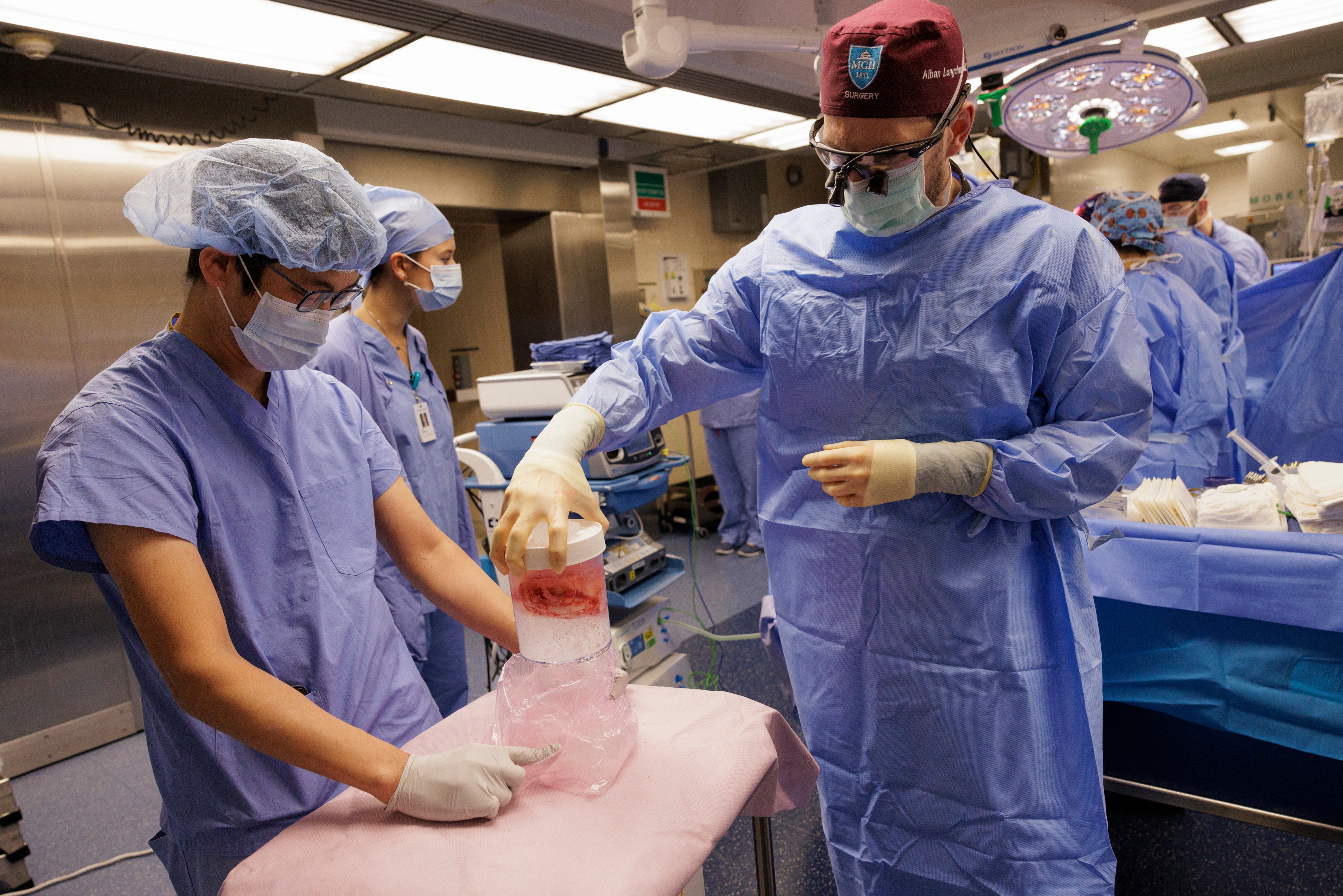 Pig Kidney Transplant