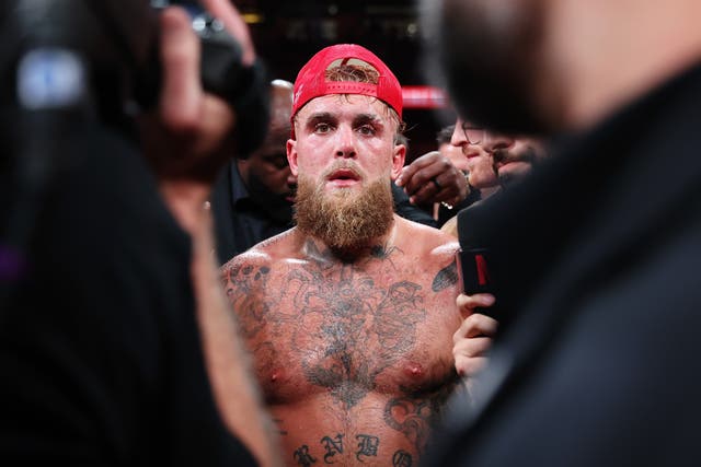<p>Jake Paul after his boxing match with Mike Tyson</p>