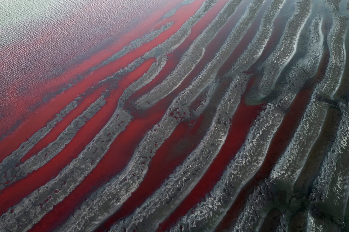 ‘It looks like a stream of blood.’ A river near Buenos Aires turns red, sparking fears of toxic leak