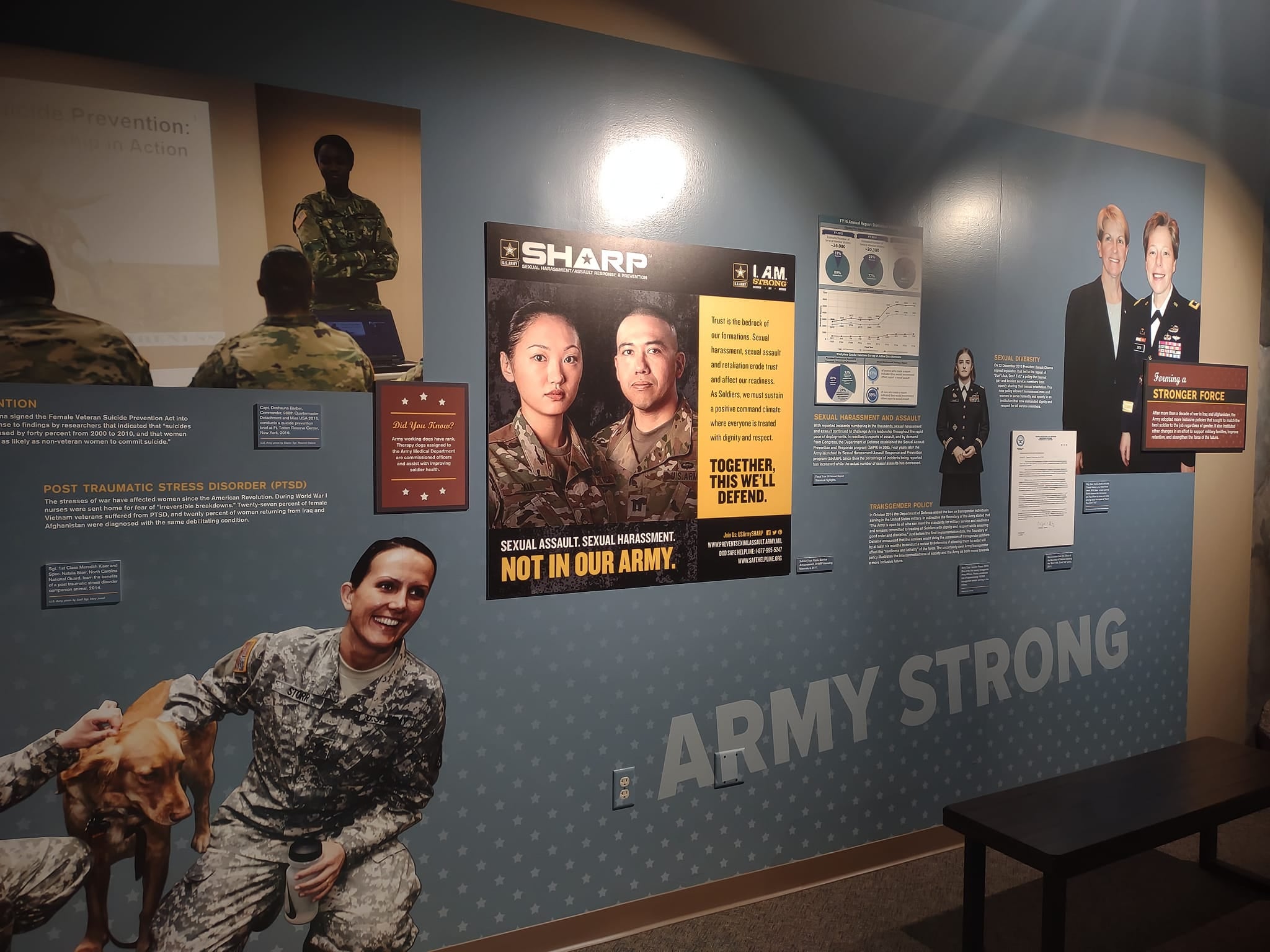 A storyboard at the US Army Women's Museum with a section about transgender service members