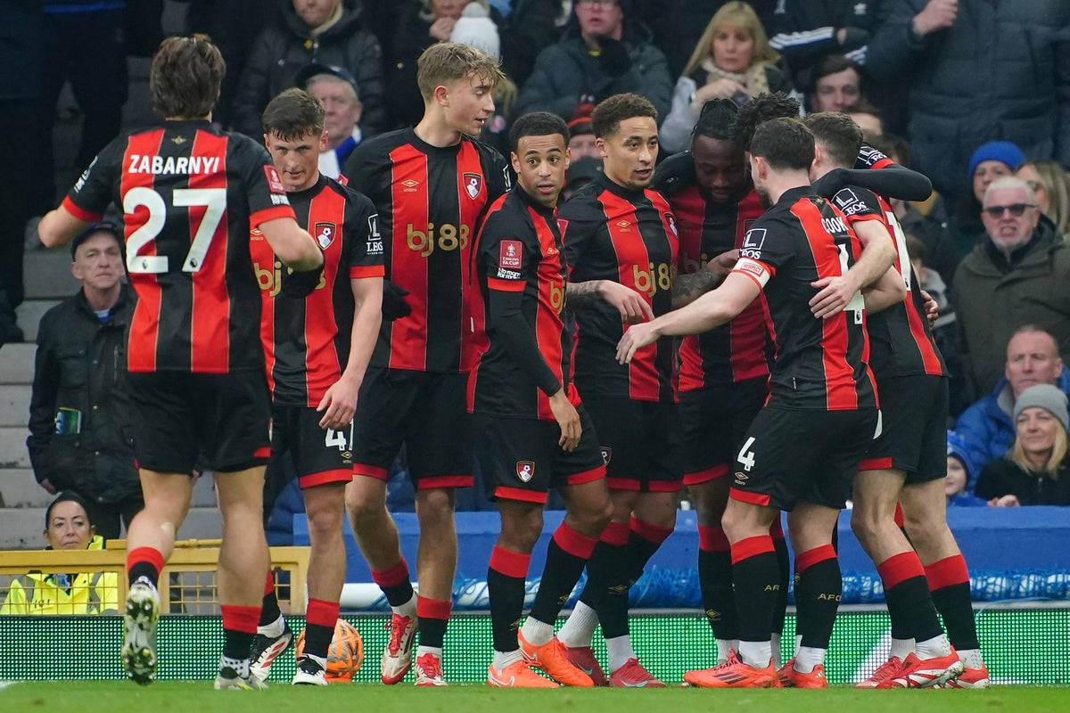 Bournemouth burst Everton’s bubble to end David Moyes’ FA Cup dream