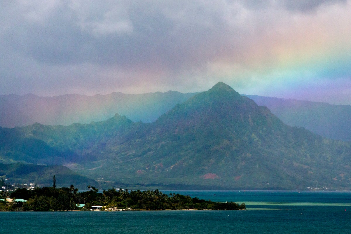 Urgent warning for Hawaiian tourists as brain parasite cases continue: ‘Don’t eat raw food’